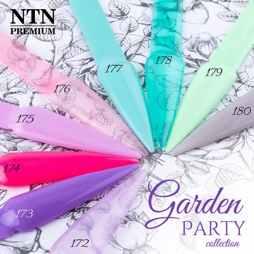 NTN Premium New - 178