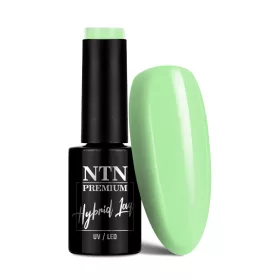 NTN Premium New - 179