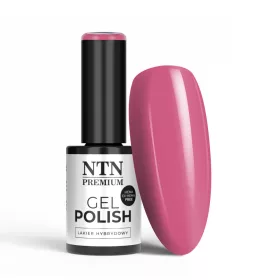NTN Premium New - 21