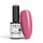 NTN Premium New - 21
