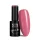 NTN Premium New - 23