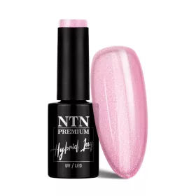 NTN Premium New - 254