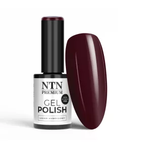 NTN Premium New Oriental Delice - 267