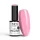 NTN Premium New - Springtime  284