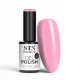 NTN Premium New - Springtime  284