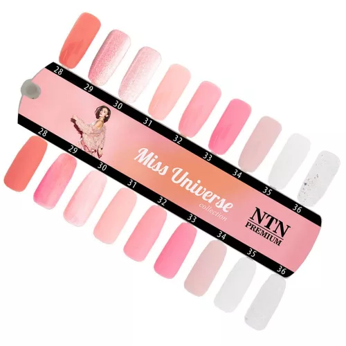 NTN Premium New - 28