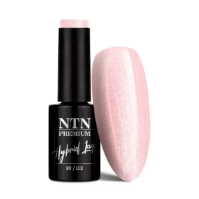 NTN Premium New - 30