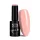 NTN Premium New - 31