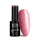 NTN Premium New - 324