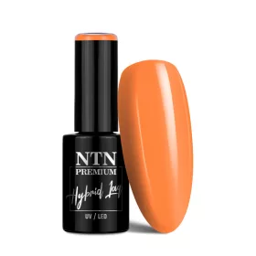 NTN Premium New - 336