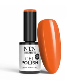 NTN Premium New - 337 (hema-free)