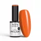 NTN Premium New - 337 (hema-free)