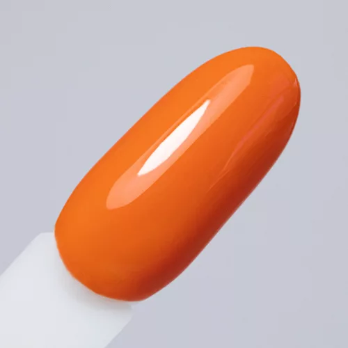 NTN Premium New - 337 (hema-free)