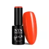 NTN Premium New - 338