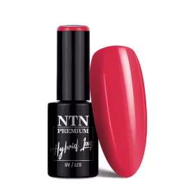 NTN Premium New - 342