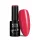 NTN Premium New - 342