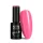 NTN Premium New - 343