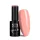 NTN Premium New - 345