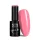NTN Premium New - 346