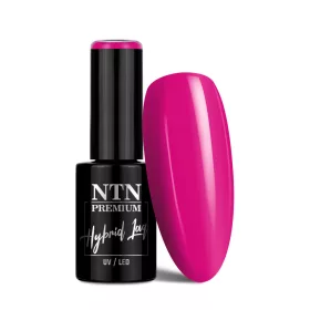 NTN Premium New - 347
