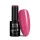 NTN Premium New - 349