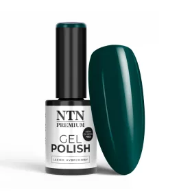 NTN Premium New - 373