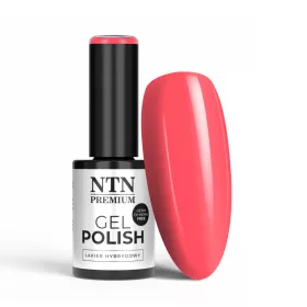 NTN Premium New - 38