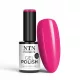 NTN Premium New - 40