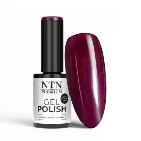 NTN Premium New - 400