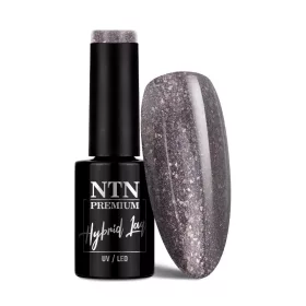 NTN Premium New - 412