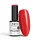 NTN Premium New - 42
