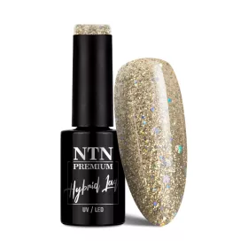 NTN Premium New - 424