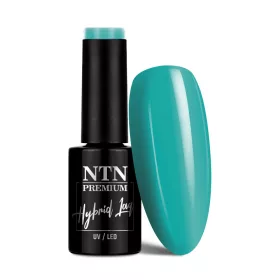 NTN Premium New - 43