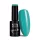 NTN Premium New - 43