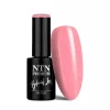 NTN Premium New - 443