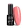 NTN Premium New - 444