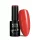 NTN Premium New - 450