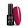 NTN Premium New - 451