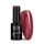 NTN Premium New - 452