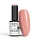 NTN Premium - 461