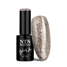 NTN Premium New - 480