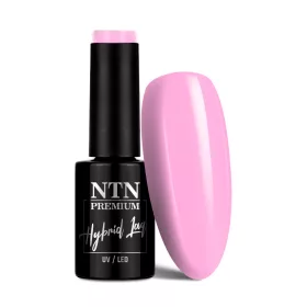 NTN Premium New - 49 - Birthday Party