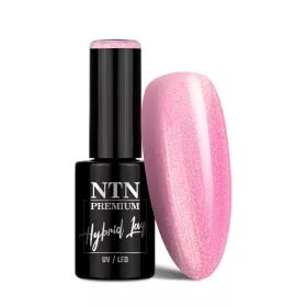 NTN Premium New - 51 - Birthday Party