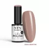 NTN Premium New - 523