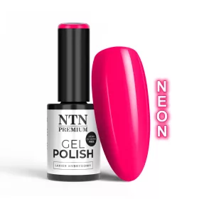 NTN Premium New - 53 - Birthday Party (Hema-free)