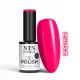 NTN Premium New - 53 - Birthday Party (Hema-free)