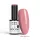 NTN Premium New - 538