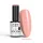NTN Premium New - 542