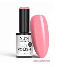 NTN Premium New - 545
