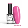 NTN Premium New - 546